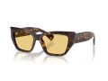 Tiffany Naočare za sunce TF 4230 8015/7