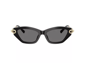 Tiffany Naočare za sunce TF 4231U 800181