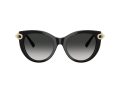 Tiffany Naočare za sunce TF 4232 80013C