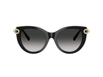 Tiffany Naočare za sunce TF 4232 80013C