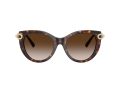 Tiffany Naočare za sunce TF 4232 80153B