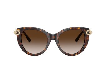 Tiffany Naočare za sunce TF 4232 80153B