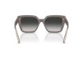 Tiffany Naočare za sunce TF 4235 84013C