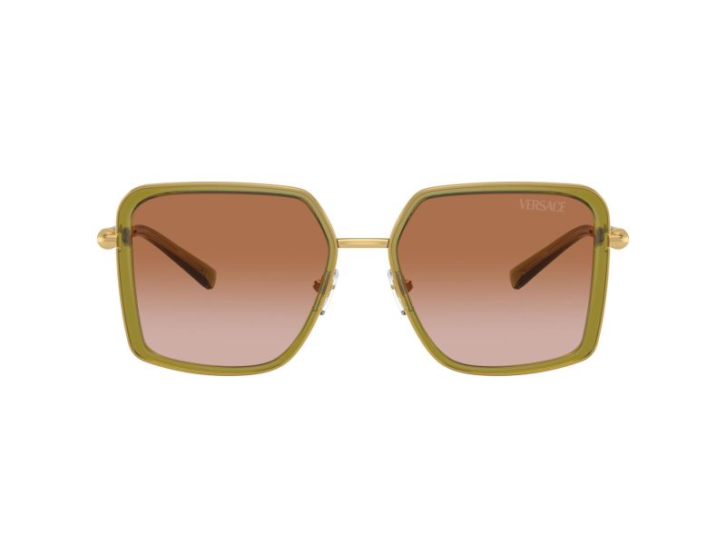 Versace Naočare za sunce VE 2261 150913