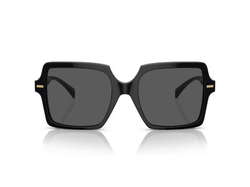 Versace Naočare za sunce VE 0VE4441 GB1/87