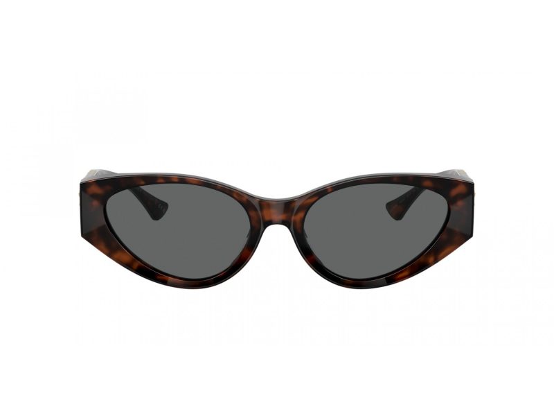 Versace Naočare za sunce VE 0VE4454 542987