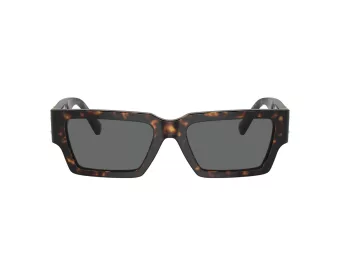 Versace Naočare za sunce VE 4459 108/87