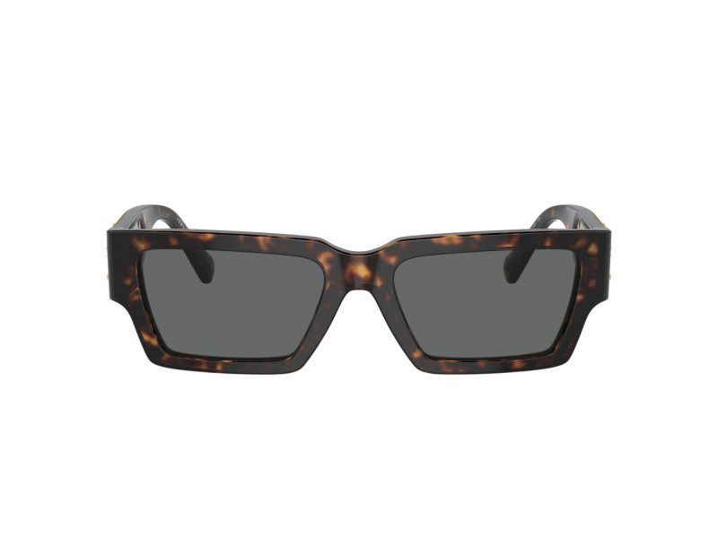 Versace Naočare za sunce VE 4459 108/87
