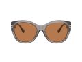 Ferrari Naočare za sunce 2008U 703/73