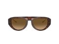 Ferrari Naočare za sunce 2012U 725/M2