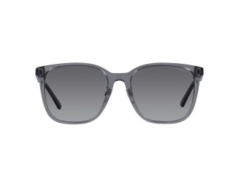 Emporio Armani Naočare za sunce 4206D 5029T3