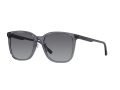 Emporio Armani Naočare za sunce 4206D 5029T3