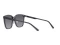 Emporio Armani Naočare za sunce 4206D 5029T3