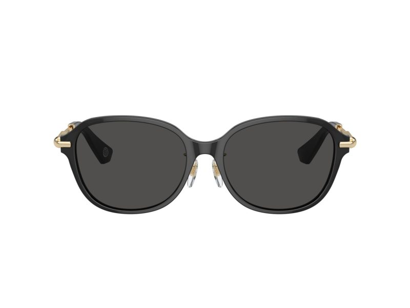 Burberry Naočare za sunce 4429D 411287