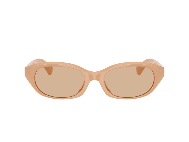 Burberry Naočare za sunce 4447D 415073