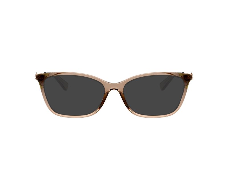 Coach Naočare 6146U 5561