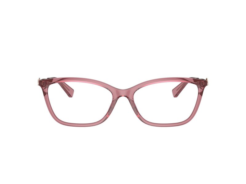 Coach Naočare 6146U 5800