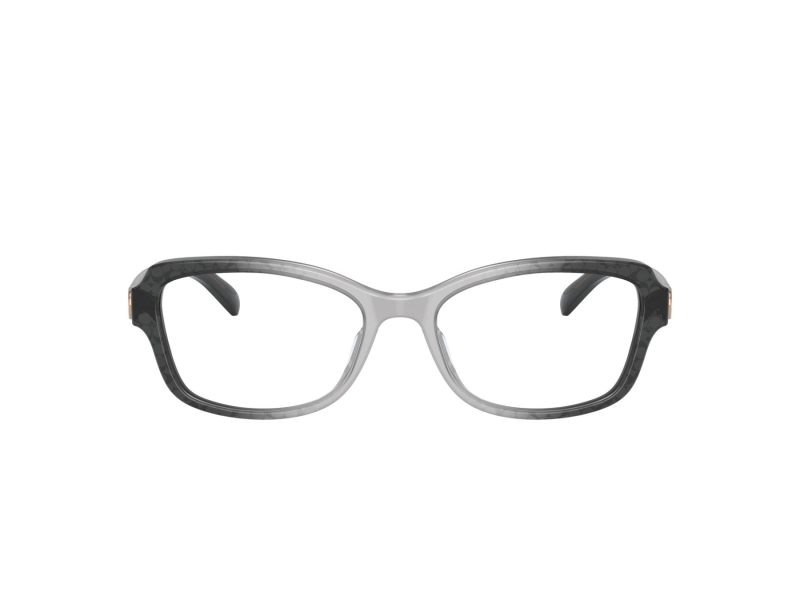 Coach Naočare 6193U 5710