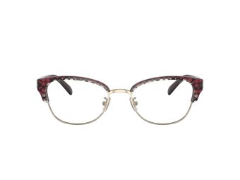 Coach Naočare 6195 5709