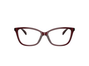 Coach Naočare 6206U 5393