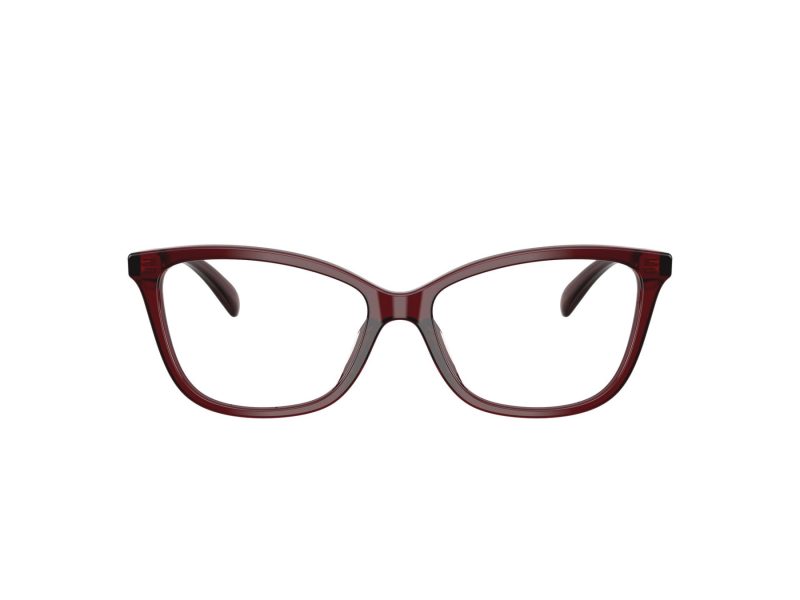 Coach Naočare 6206U 5393