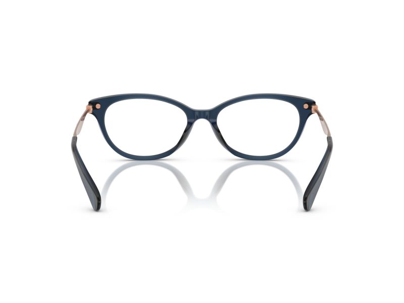 Coach Naočare 6245U 5846