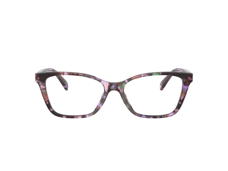 Coach Naočare 6248U 5843