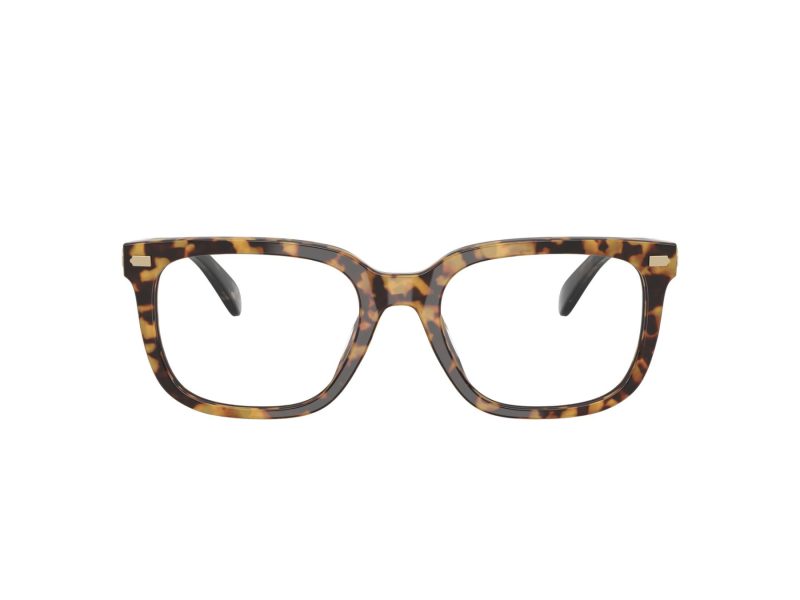 Coach Naočare 6266U 5881