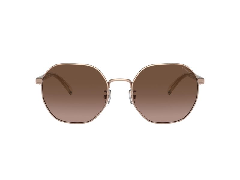 Coach Ch556 Naočare za sunce 7147 93315M
