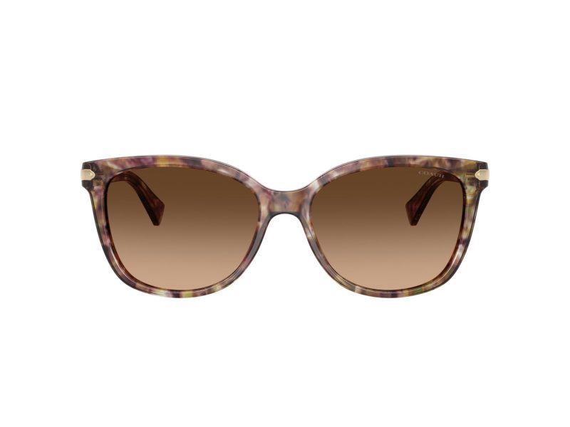 Coach L109 Naočare za sunce 8132 528713