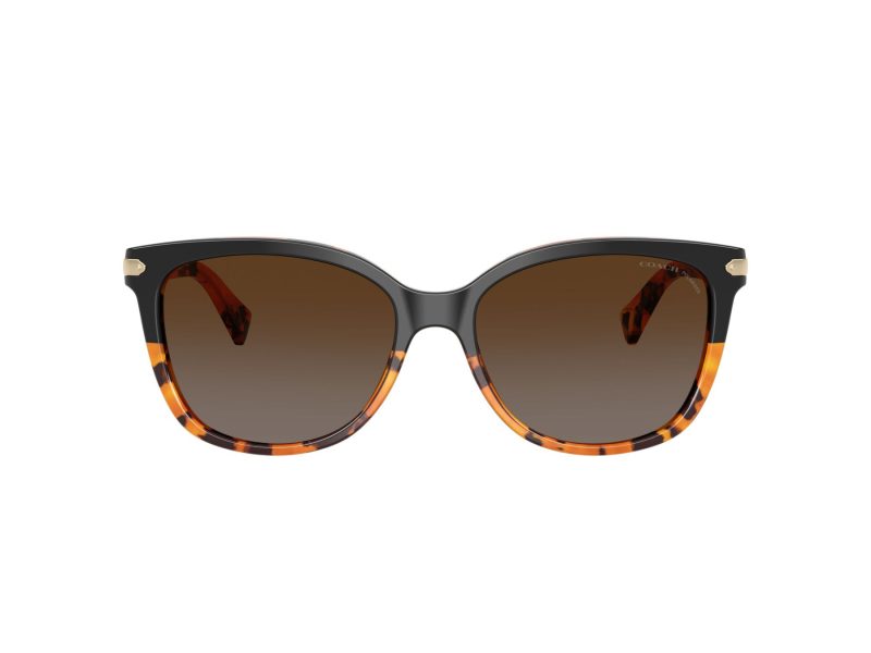 Coach L109 Naočare za sunce 8132 5438T5