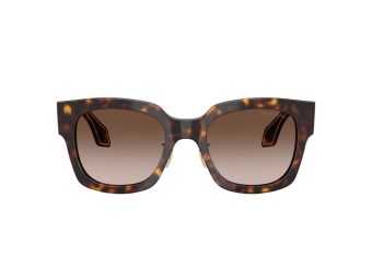 Giorgio Armani Naočare za sunce 8223 502613