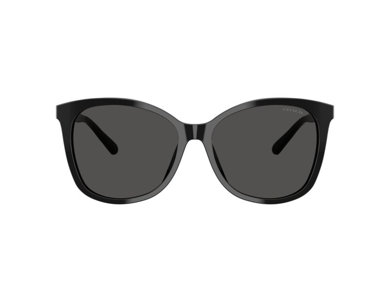 Coach L1101 Naočare za sunce 8271U 500287