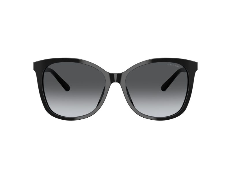 Coach L1101 Naočare za sunce 8271U 5002T3