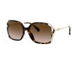 Coach L1116 Naočare za sunce 8280U 512013