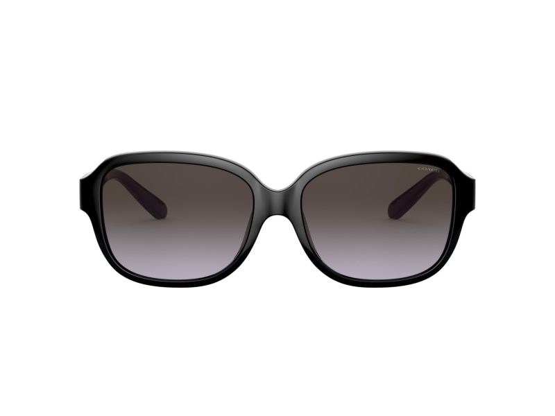 Coach L1153 Naočare za sunce 8298U 50028G