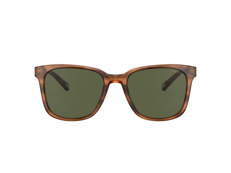 Coach C2095 Naočare za sunce 8313U 558171