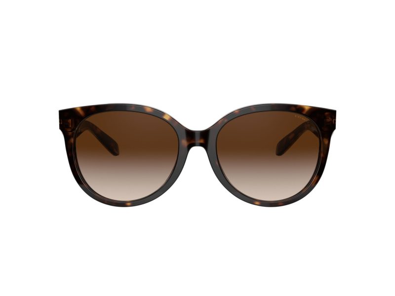 Coach C6181 Naočare za sunce 8321 51203B