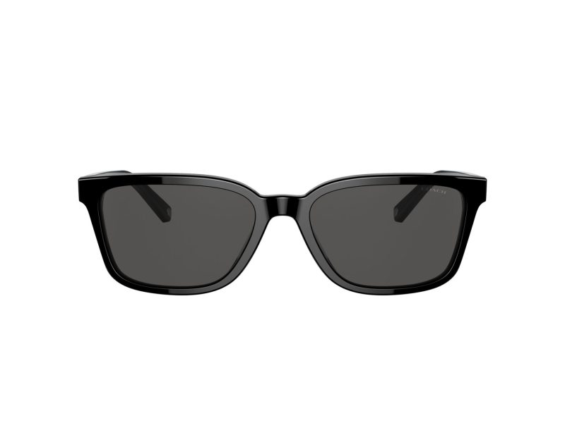 Coach C6196 Naočare za sunce 8328U 500287