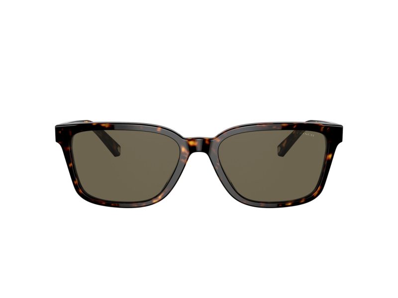 Coach C6196 Naočare za sunce 8328U 512003