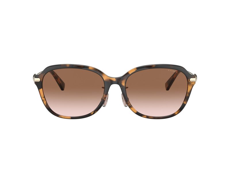 Coach C6199 Naočare za sunce 8332D 512013