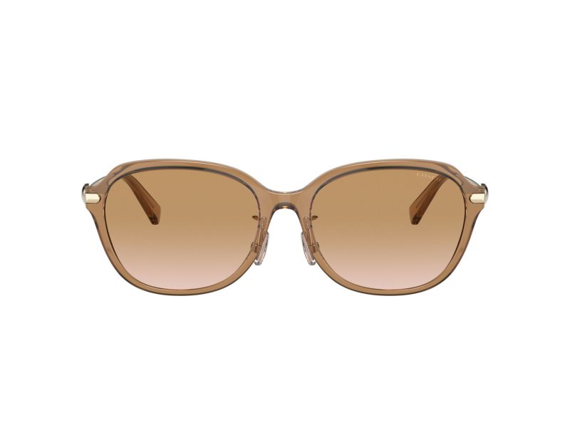 Coach C6199 Naočare za sunce 8332D 565413