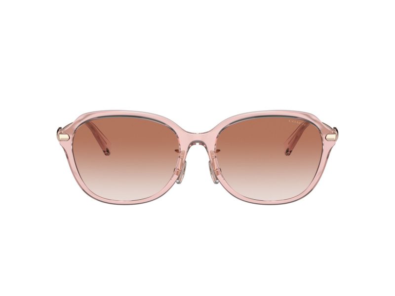 Coach C6199 Naočare za sunce 8332D 566613