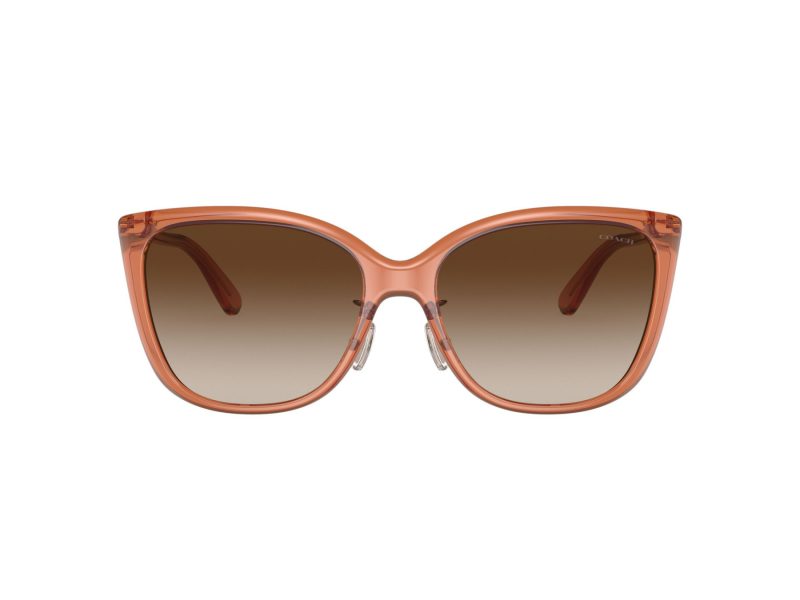 Coach C9206 Naočare za sunce 8345 570013