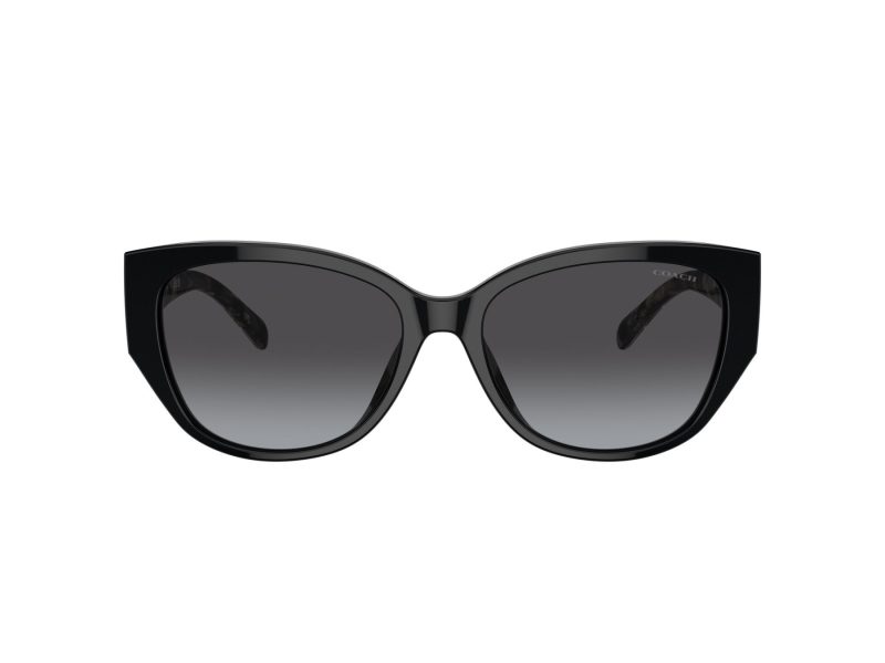 Coach Ch563 Naočare za sunce 8362U 50028G