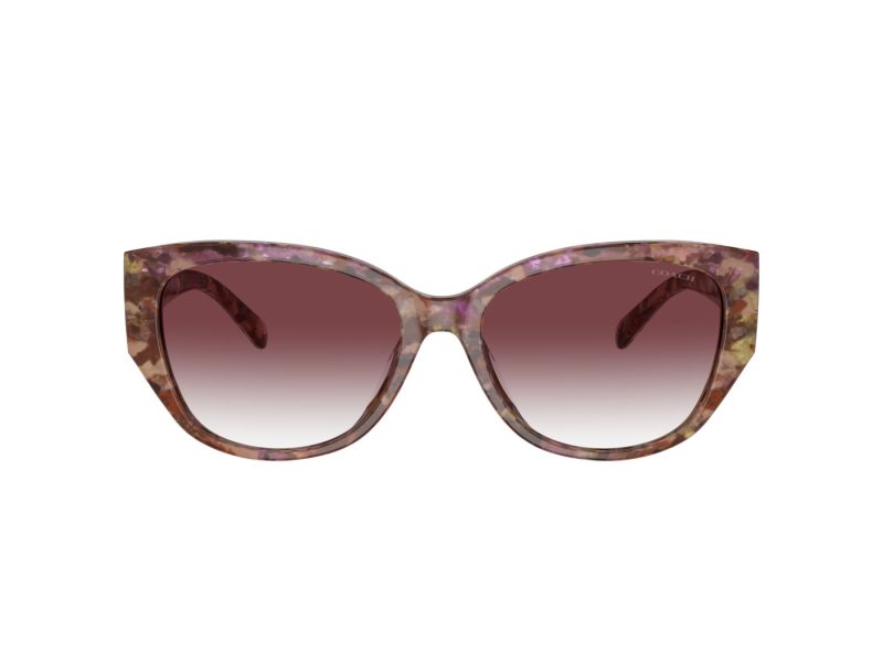 Coach Ch563 Naočare za sunce 8362U 57398H