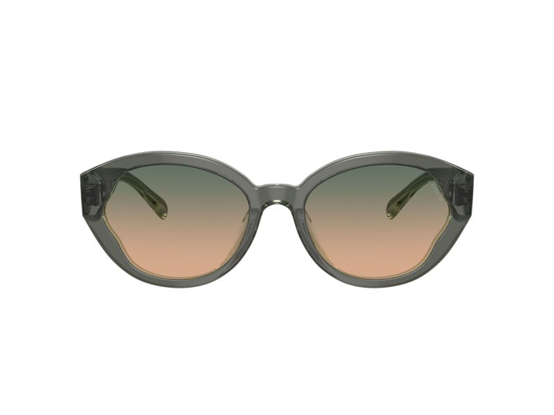 Coach Ch569 Naočare za sunce 8364U 574613