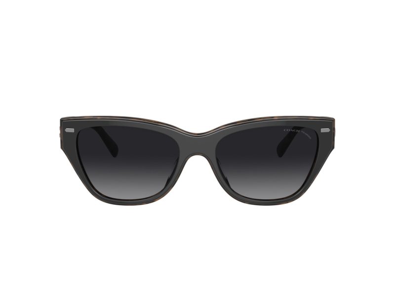 Coach Ch570 Naočare za sunce 8370U 5764T3