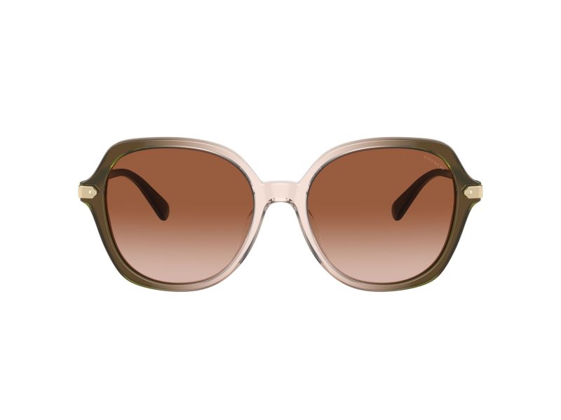 Coach Cl925 Naočare za sunce 8377U 540013