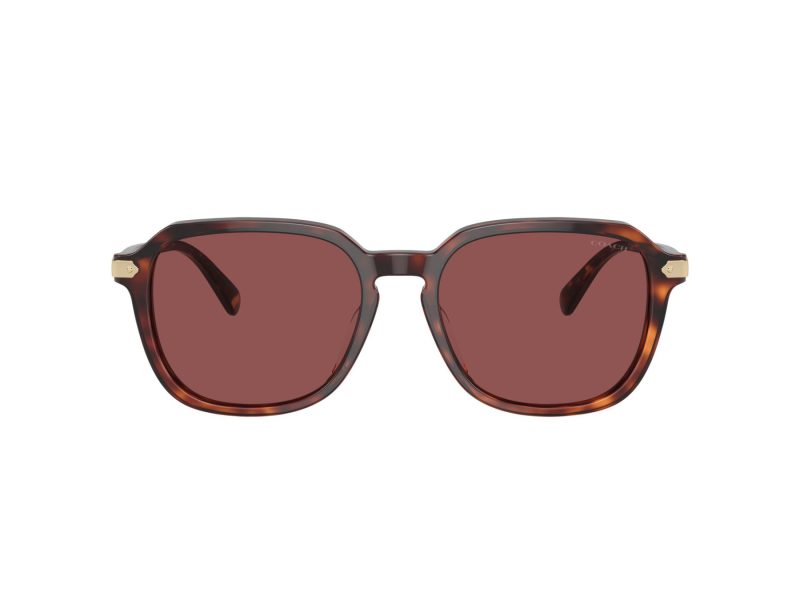 Coach Cl912 Naočare za sunce 8383U 579875